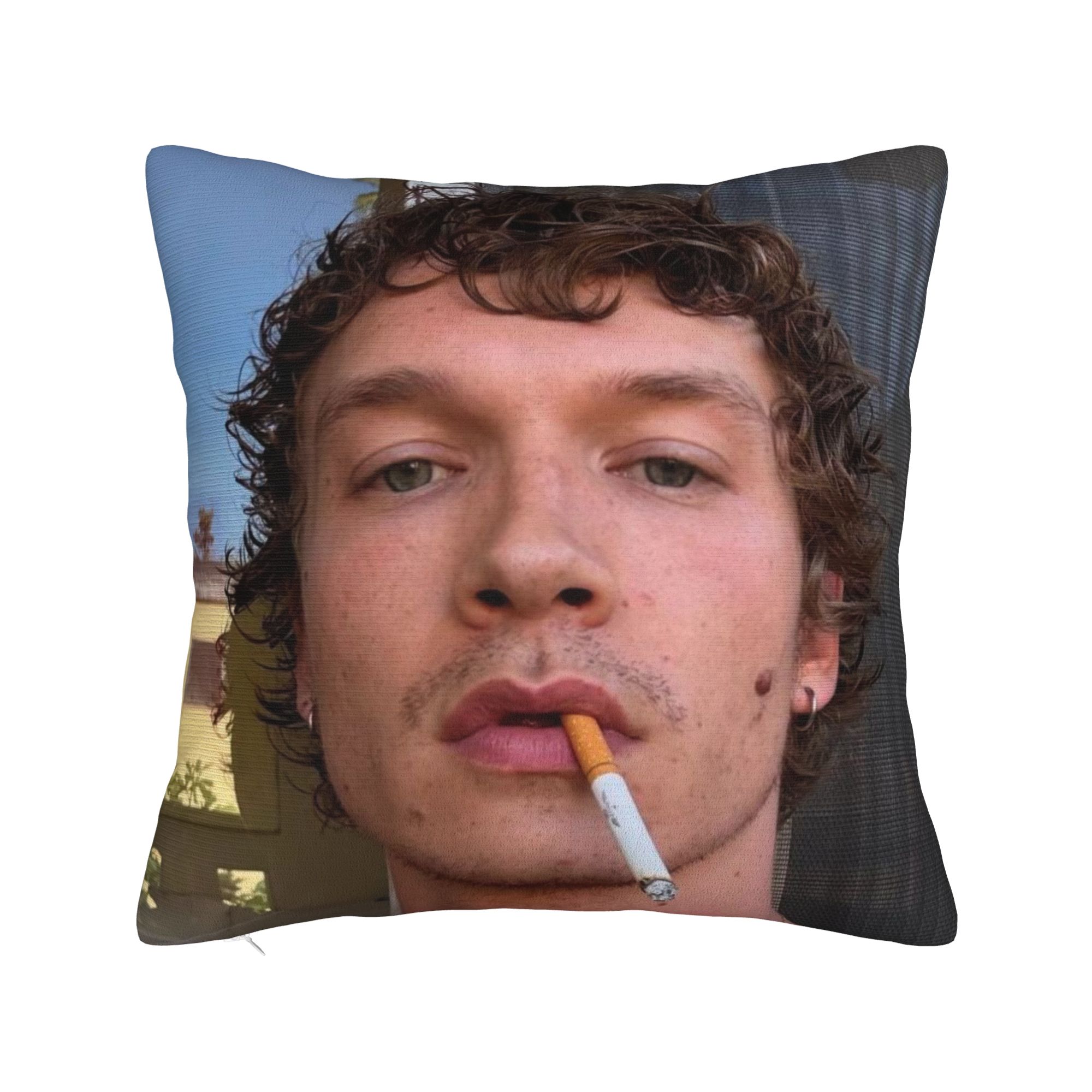 Pillow Cover Sublimation - Capa de almofada decorativa hudson williams